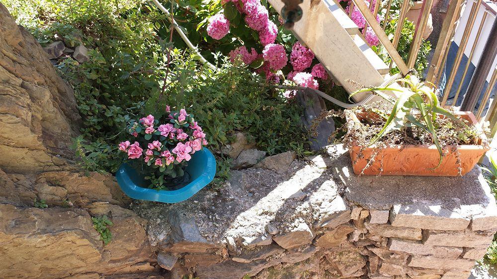 Affittacamere Elisabetta Vernazza Luaran gambar